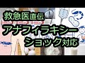 【ショック】アナフィラキシーの診断＆初期対応を徹底解説
