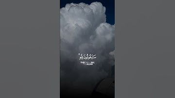 قل لمن الأرض | القارئ ناصر القطامي