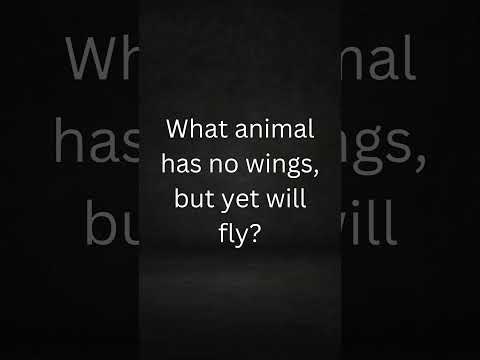 Seemingly Easy Riddles