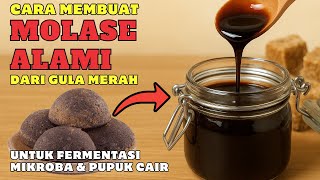 Cara Membuat Molase Alami dari Gula Merah untuk Fermentasi Mikroba & Pupuk Cair #pupukorganikcair Cara Membuat Molase Alami dari Gula Merah untuk Fermentasi Mikroba & Pupuk Cair #pupukorganikcair