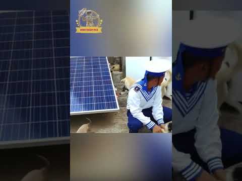 Video Đảo Thuyền Chài (thuộc quần đảo Trường Sa-VN) có một... - youtube