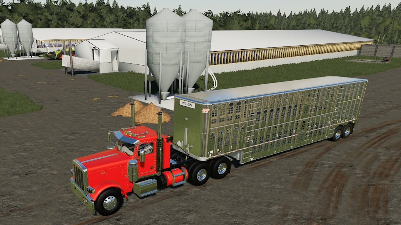 Lone Oak EP36 Making Pig Feed, Selling Pigs, Animal Care FS19