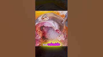 Inside the World’s Most Expensive Tuna Cutting Process 😳🐟