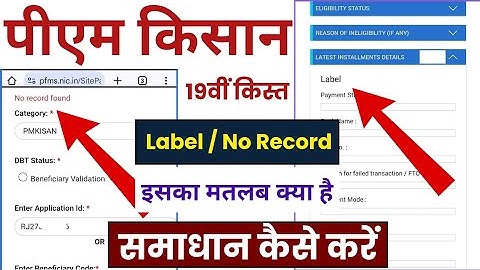 PM Kisan New Update! PFMS Payment No Record Found ❌ l Pm kisan khow Your Status Label Update ✅