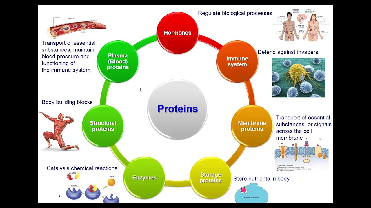 Introduction to Computer-Aided Drug Design - YouTube introduction-to-computer-aided-drug-design-youtube