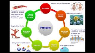 Introduction to Computer-Aided Drug Design