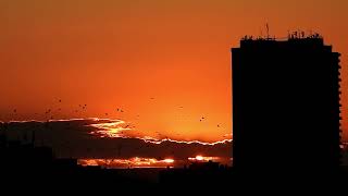 Sürgün Gibi Masallarda - İlhan İrem