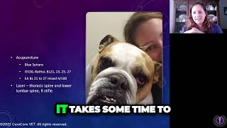Palpation of the Bulldog Spine Can Be Difficult! Dr. Danielle Anderson Explains Why by CuraCore Vet 174 views 3 months ago 44 seconds