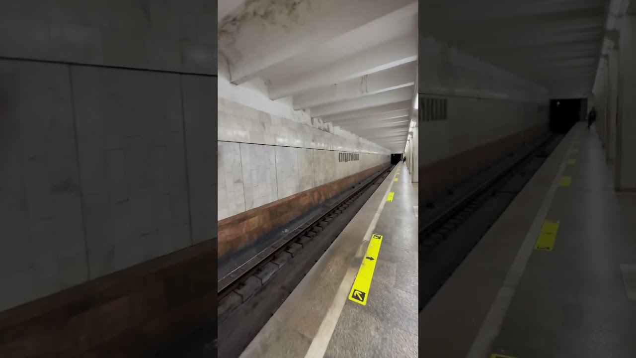 Купить Квартиру В Новосибирске Метро Студенческое