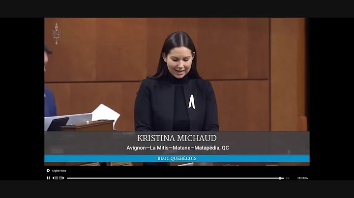 Presenting Bill S-223 to Defend Human Rights