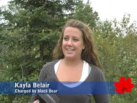 Black bear charges teen on Skead Road in Sudbury