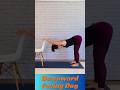 Chair Yoga: Gentle Downward Facing Dog Step by Step Tutorial