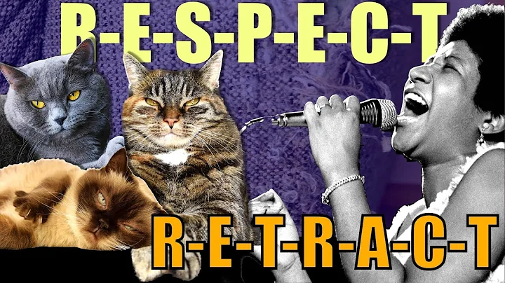 Respect Parody song - RETRACT - Aretha Franklin meets CATS!