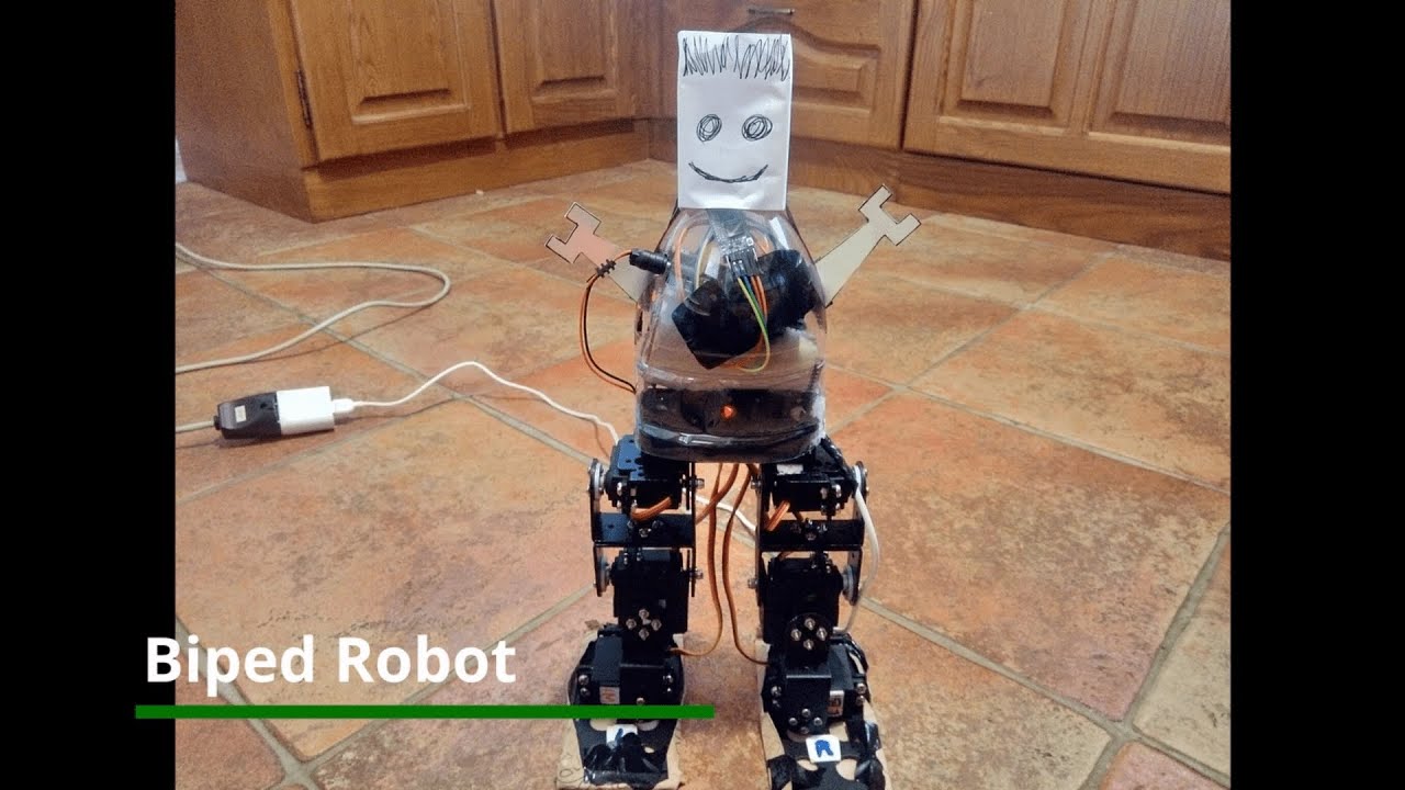 Biped Robot - Mechatronic Project - YouTube