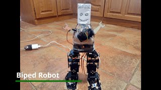 Biped Robot - Mechatronic Project