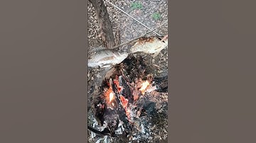 Cá rô phi nướng #Shorts