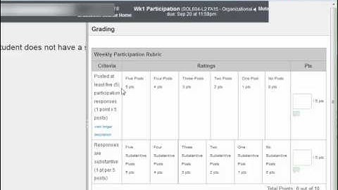 Canvas Grades Participation Column