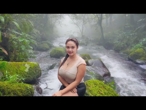 MEMBUAT PRIVATE POOL TENGAH HUTAN BERKABUT.