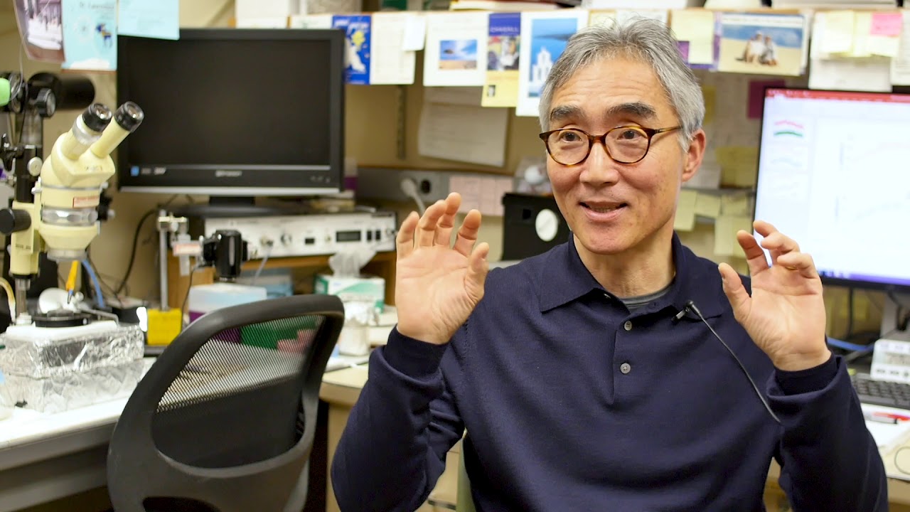 CFTR, Submucosal Gland Secretion and Mucociliary Clearance