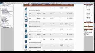 PhillipsPet.com - Ordering Website Training Part 1