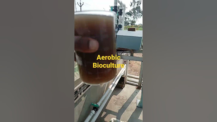#MBBR/#effluent treatment plant/#Aerobic Bioculture/#sumitstudytalks.