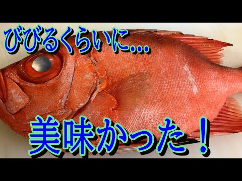 チカメキントキのさばき方 刺身 寿司 煮つけ 肝 胃袋まで調理 Youtube