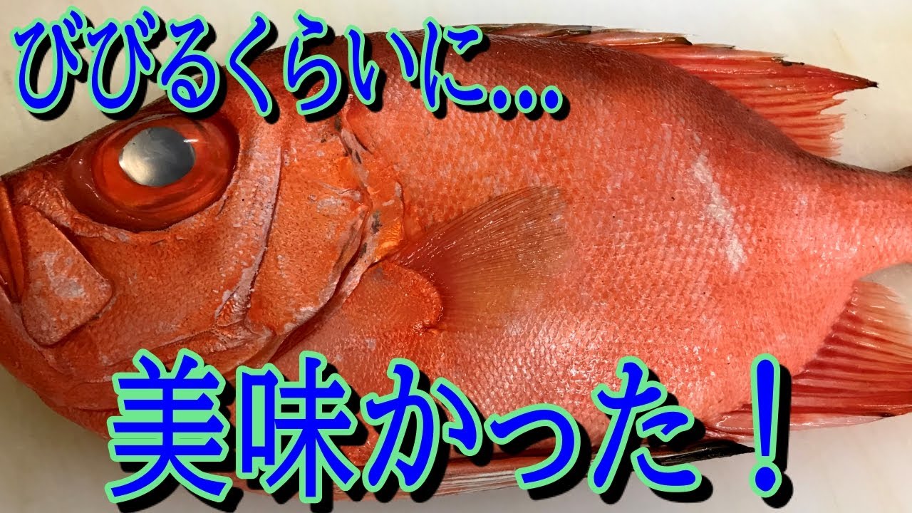 チカメキントキのさばき方と料理法 非常に美味しい魚です のんべえの日記