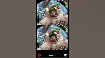 Find The Difference Puzzle Game Level 52