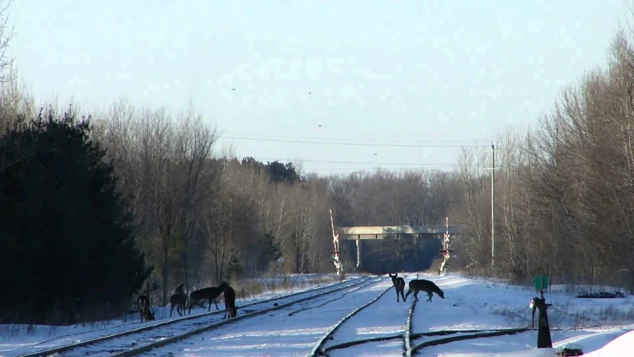 HOT BOX! CP 8534 at Craighurst 1/2 (07MAR2011)