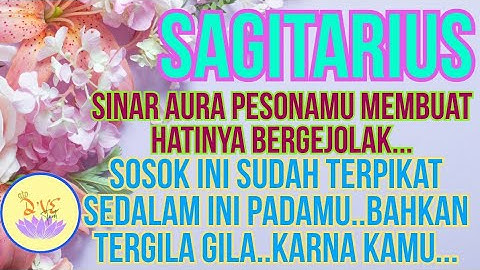 ZODIAK SAGITARIUS- WAW..!!AURA PESONAMU SEDANG BERSINAR..ADA YG TERGILA-GILA PADAMU..#sagitarius