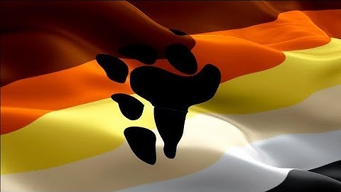 Gay culture flag video waving wind. LGBT Homosexual Rainbow Pride Flag background. Bear flag