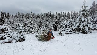 I Cut a Christmas Tree...From the Property I Rent by Outthereinit 137 views 2 years ago 6 minutes, 3 seconds