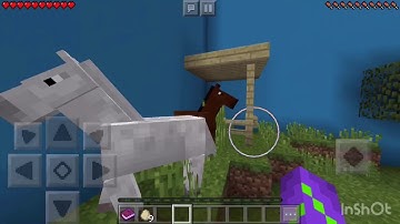 Minecraft-find the button:animal edition