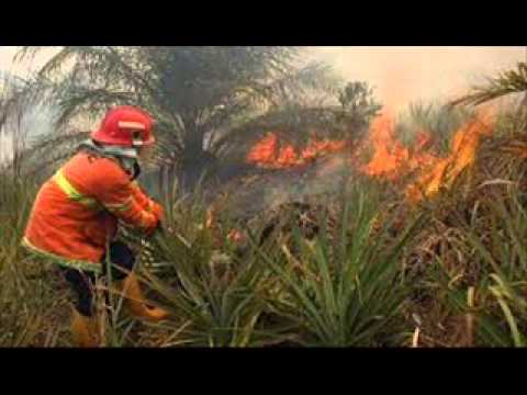 Iwan Fals - Album Tentang Politik | Audio HQ