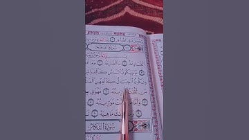 سورة القارعة بصوت جميل جدا 💚❤