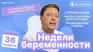 36 Неделя Беременности. Тайны беременности и ожидание/ Важное в этот период #беременность  #недели