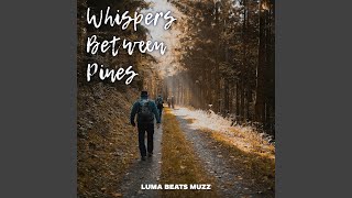 A Map Folded Back into Light - Luma Beats Muzz