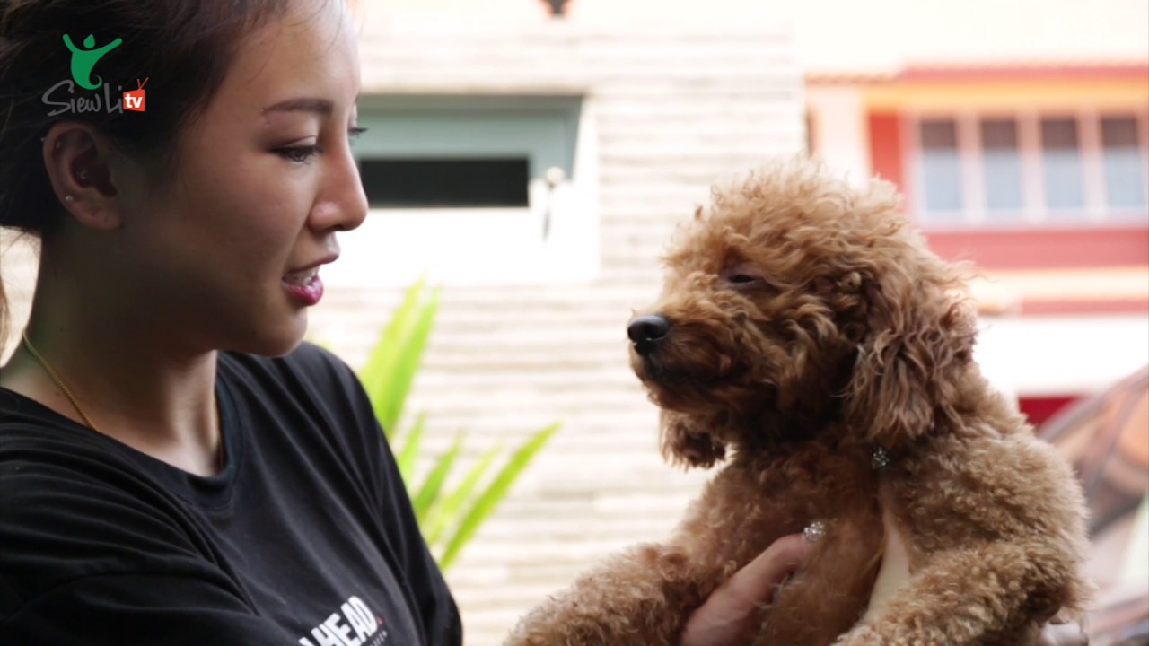 Fengshui风水_Get LUCK with SiewLi 2017