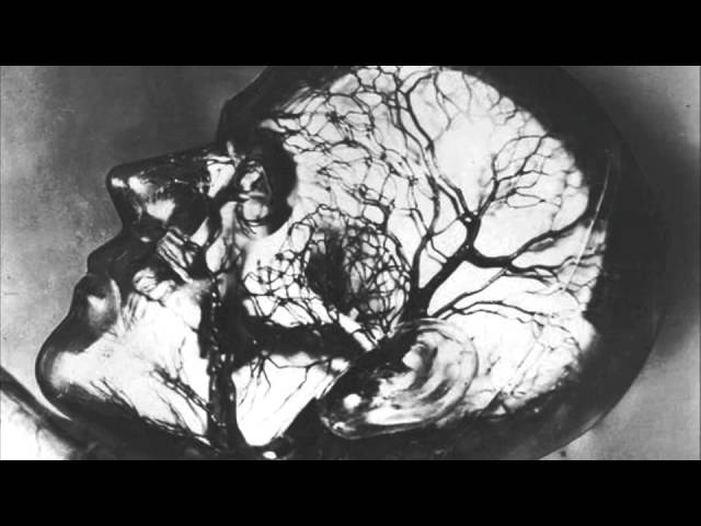 Watch Dauwd - Aqueous on YouTube Watch Dauwd - Aqueous on YouTube