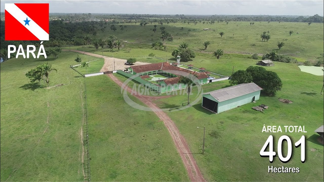 FA00218 Fazenda à venda no Pará - 401 ha (82 alq) - Região de Abaetetuba - Moju