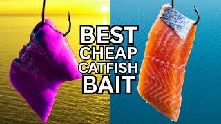 The Only 3 CATFISH BAITS You Need To Know