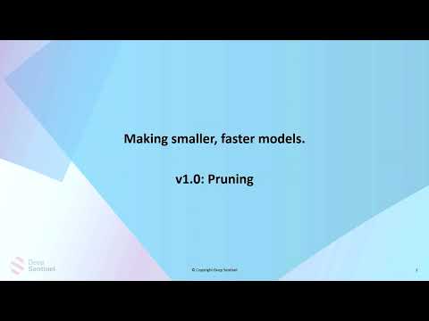 Deep Sentinel Introduces Knowledge Distillation for Smaller, Smarter Edge AI Models (Preview) - video from Edge AI and Vision