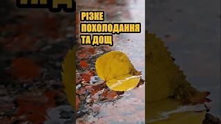 Різке похолодання та дощ в Україні #погода #weather #shorts
