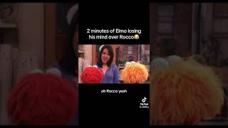 2 minutes of Elmo losing his mind over Rocco 😂