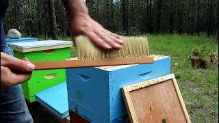 How much does it cost to start Bee keeping? A complete list of equipment!!!