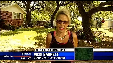 Home overrun with copperhead snakes
