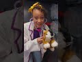 Dr Meekah's Cat Check Up #shorts
