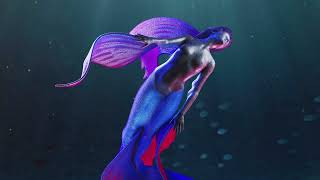 Elysian Depths | Tales of the Uncharted: A Michael Binkley 3D Sculpture Exhibit Net Worth