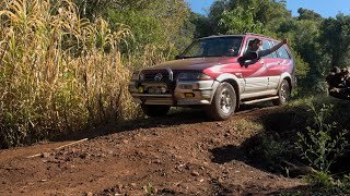 Misiones oculta: Recorriendo caminos de colonia en Montecarlo