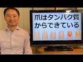 爪はタンパク質からできている。爪の状態はカラダの栄養状態の指標になります。タンパク質、ビタミンA、亜鉛、鉄の状態がわかります！【栄養チャンネル信長】